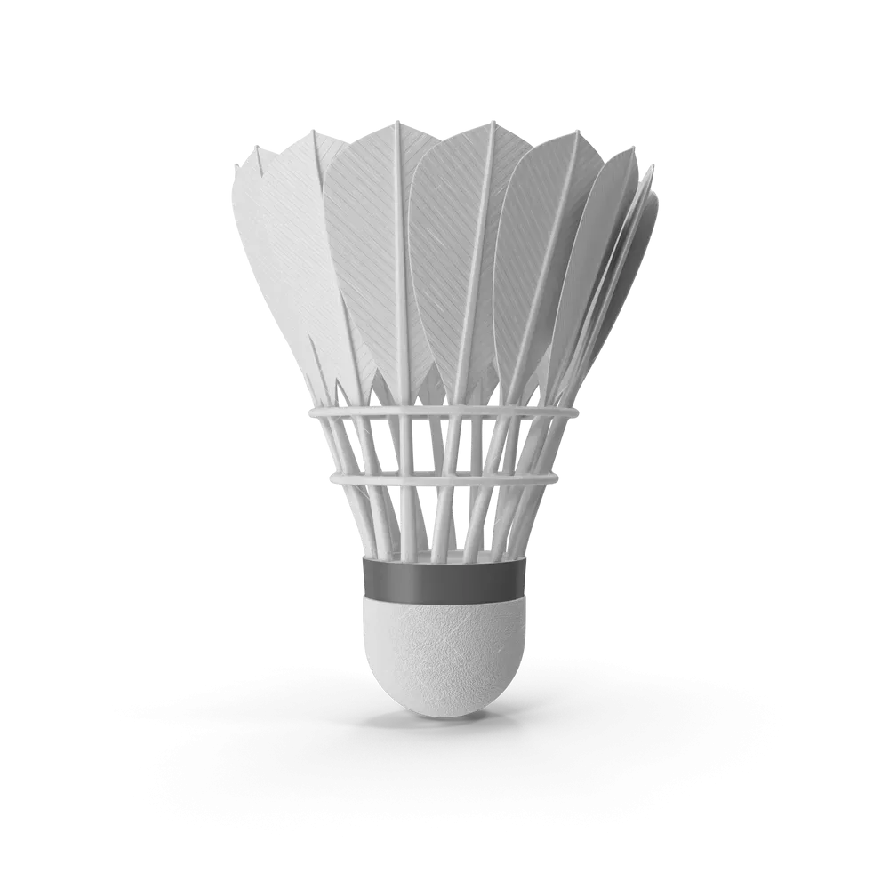 Feather Shuttlecock
